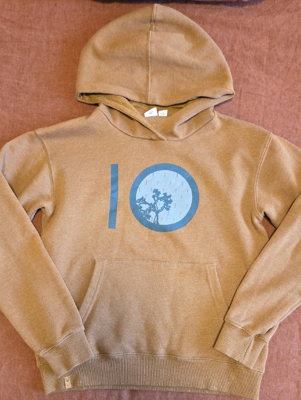 tentree Brown Hoodie with Blue Graphic